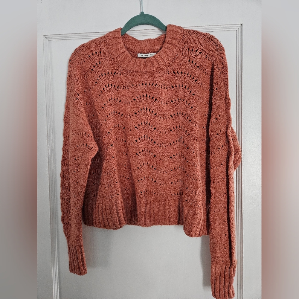 🆕️American Eagle Outfitters Cropped Soft Sweater